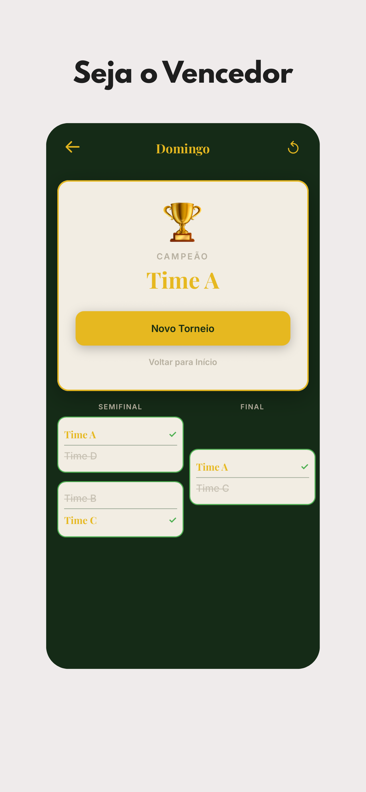 Chaveamento do torneio com campeao